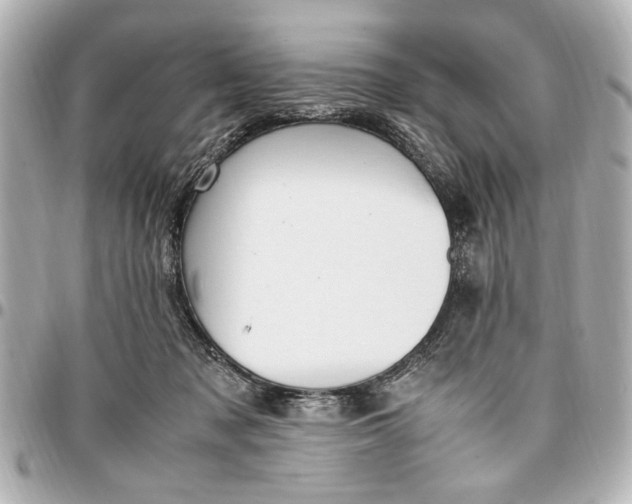 X0000096730317200802261459