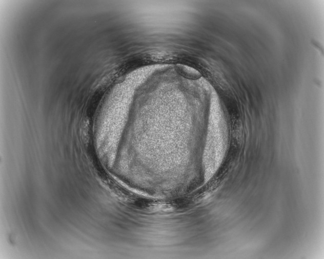 X0000096730319200802261459
