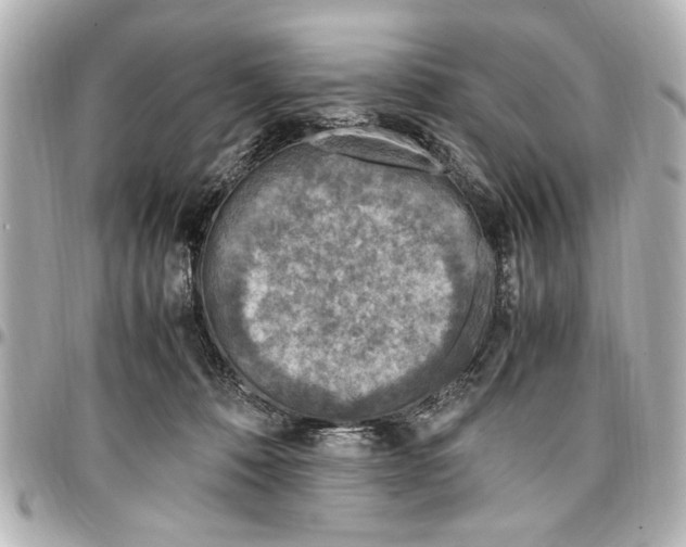 X0000096730320200802261459