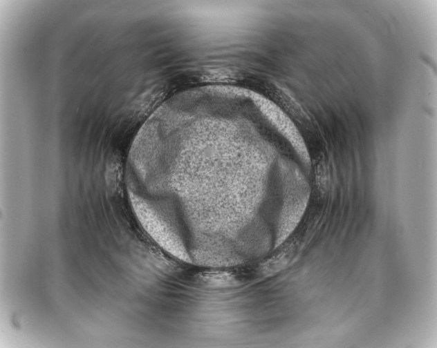 X0000096730322200802261459