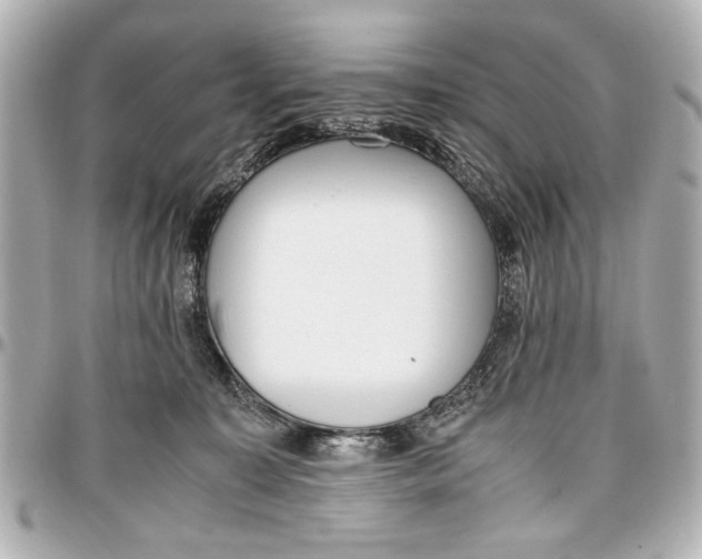 X0000096730323200802261459