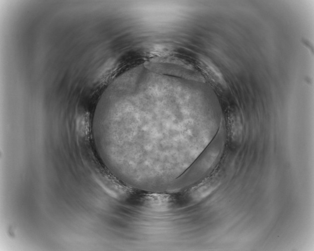 X0000096730328200802261459