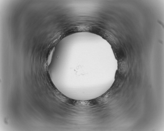 X0000096730329200802261459