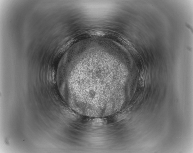 X0000096730330200802261459