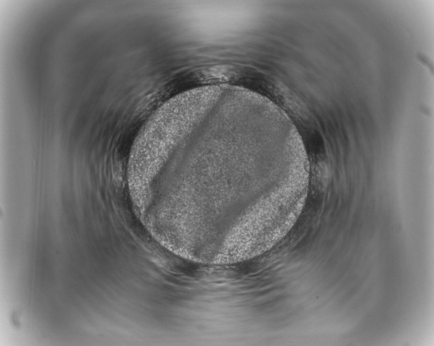 X0000096730331200802261459