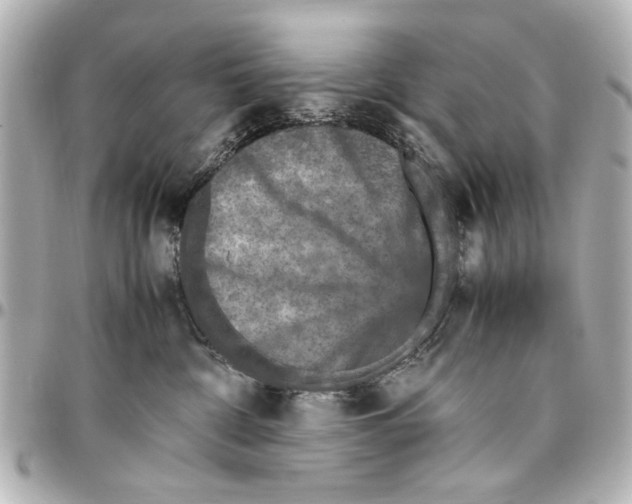 X0000096730332200802261459