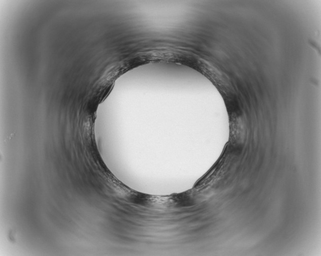 X0000096730333200802261459