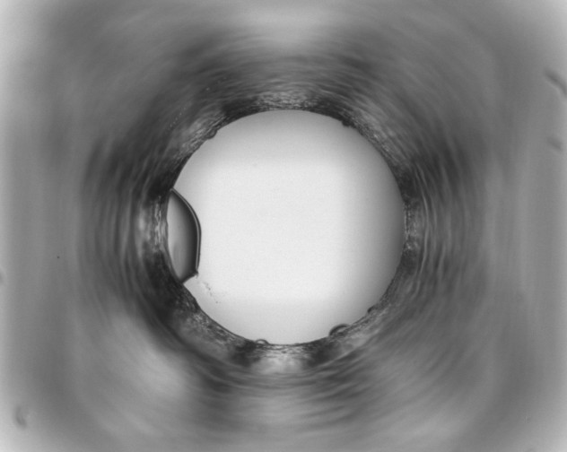 X0000096730334200802261459