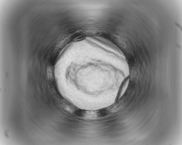 X0000096730335200802261459