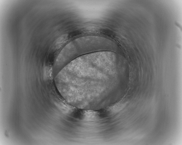 X0000096730336200802261459