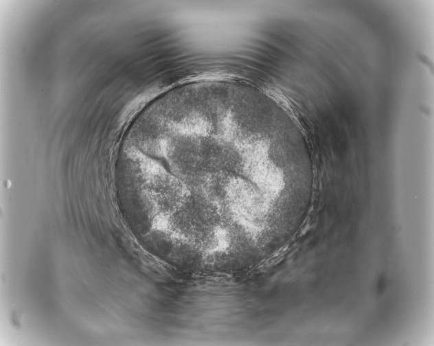 X0000096730337200802261458