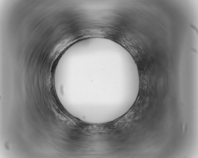 X0000096730338200802261458