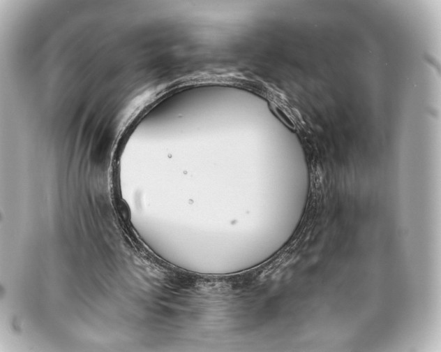 X0000096730340200802261458