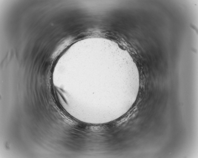 X0000096730341200802261458