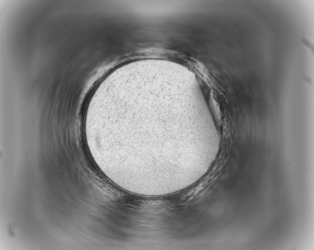 X0000096730342200802261458
