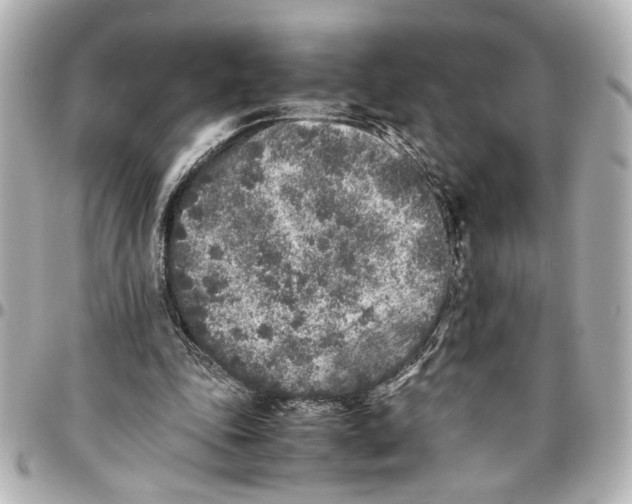 X0000096730343200802261458