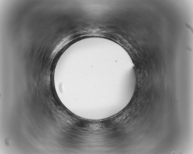 X0000096730344200802261458