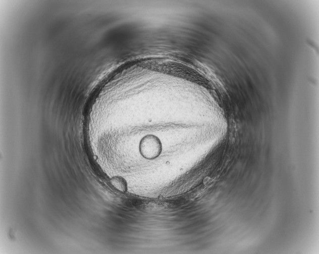 X0000096730346200802261458