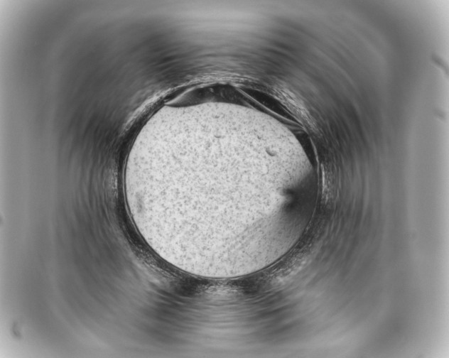 X0000096730348200802261458