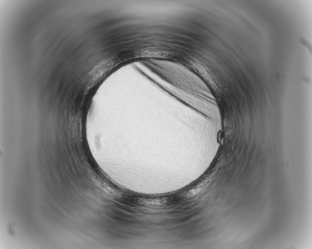 X0000096730349200802261458