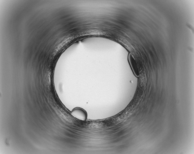X0000096730350200802261458