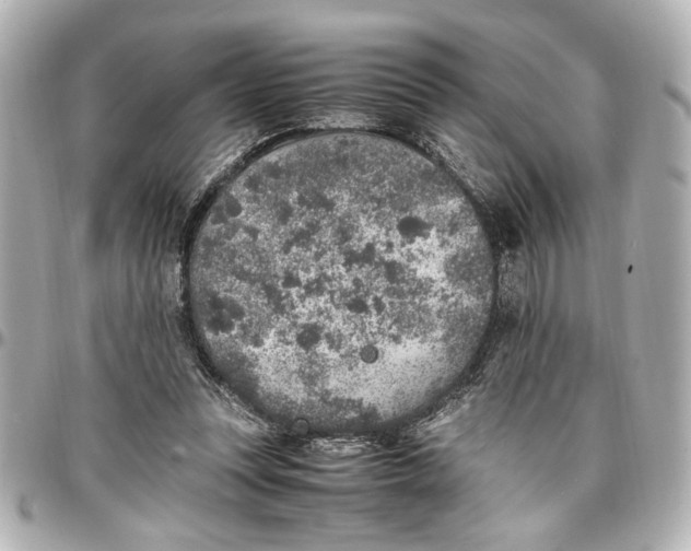 X0000096730351200802261458