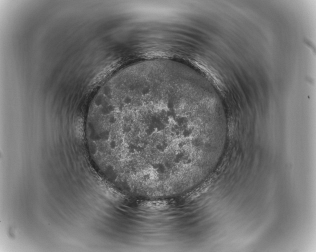 X0000096730353200802261458