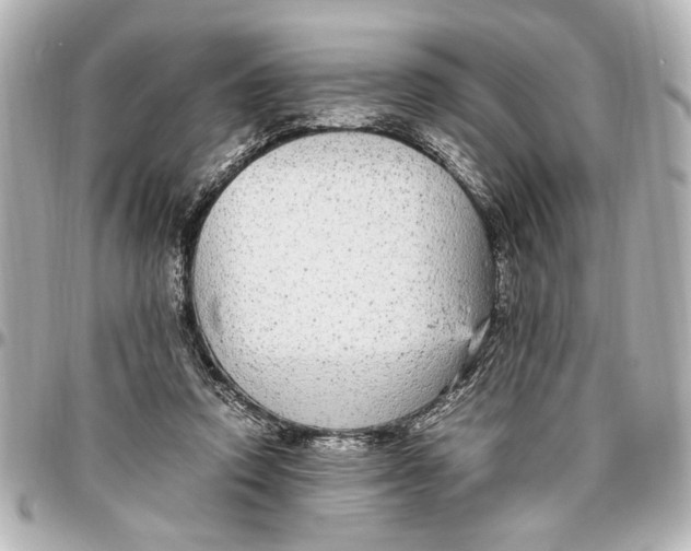X0000096730354200802261458