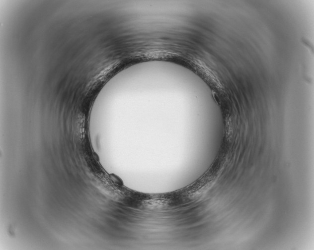 X0000096730356200802261458