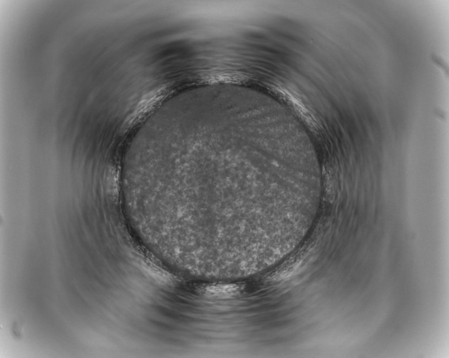 X0000096730357200802261459