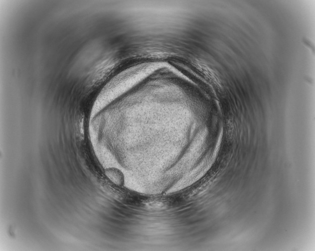 X0000096730358200802261459