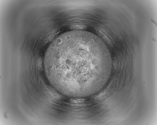 X0000096730359200802261459