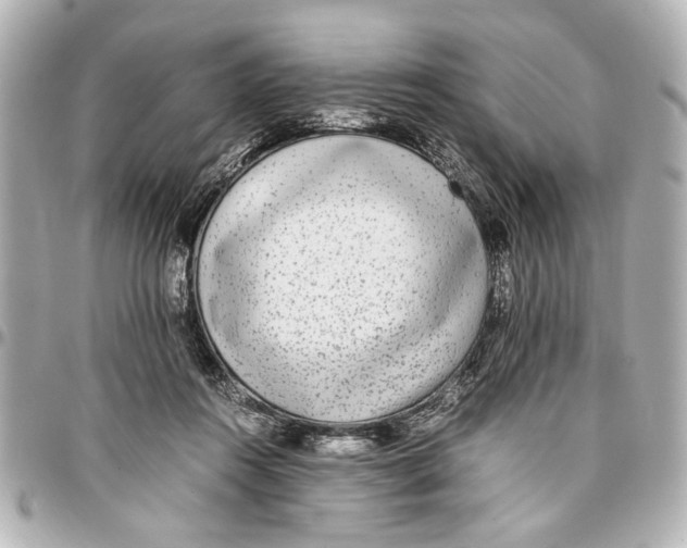 X0000096730360200802261459