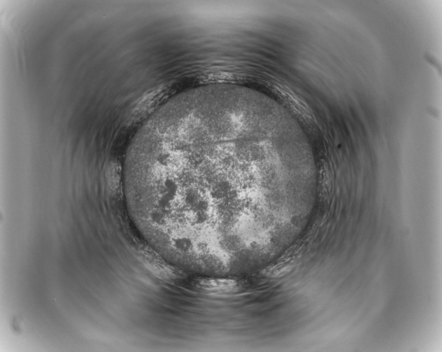 X0000096730361200802261459