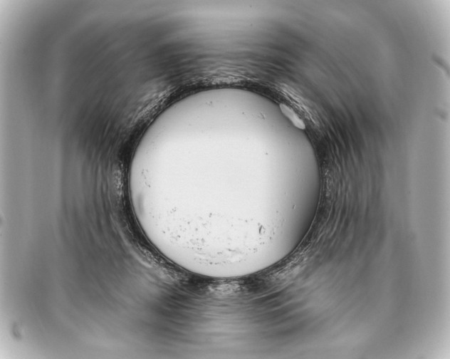 X0000096730362200802261459