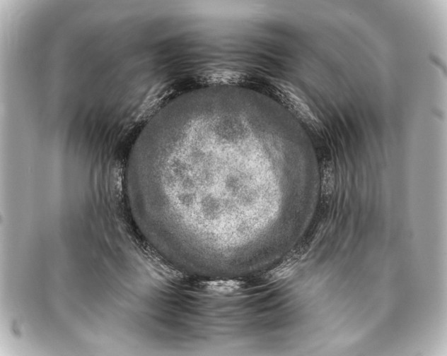X0000096730363200802261459