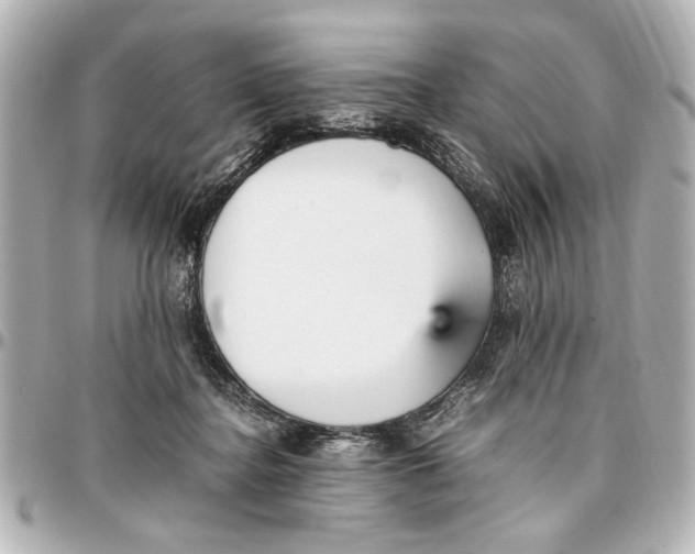 X0000096730364200802261459