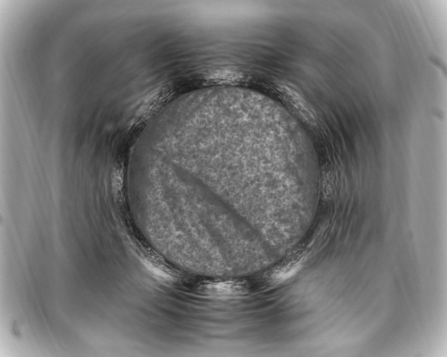 X0000096730365200802261459