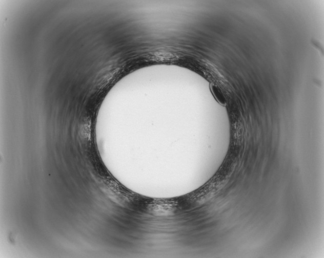 X0000096730368200802261459