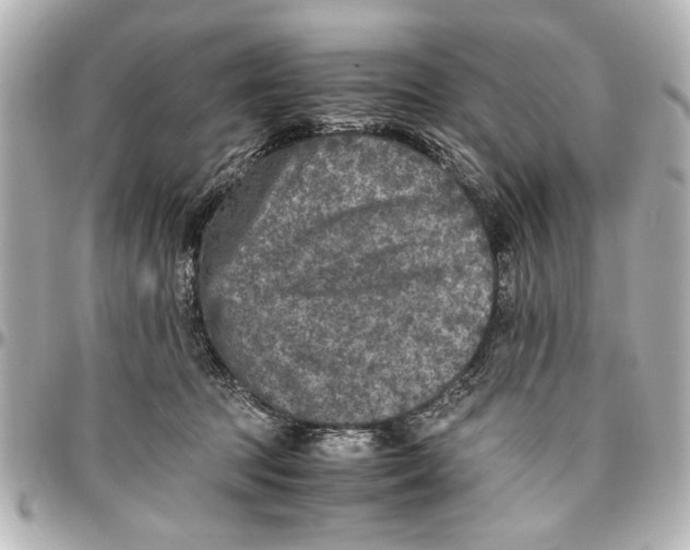 X0000096730369200802261459