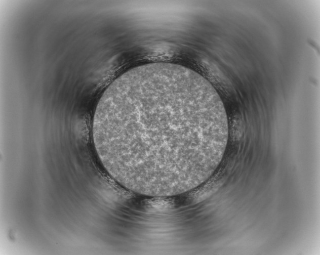 X0000096730370200802261459
