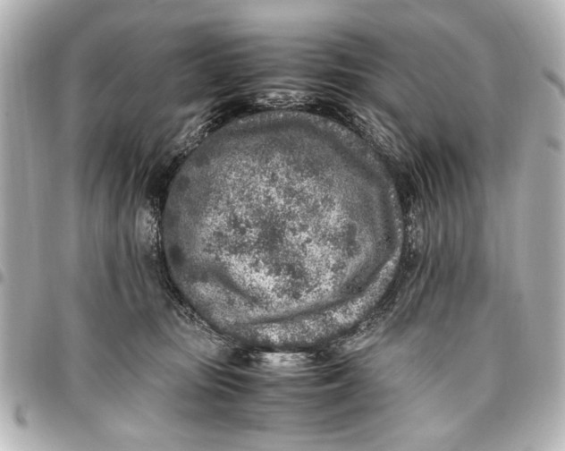 X0000096730371200802261459