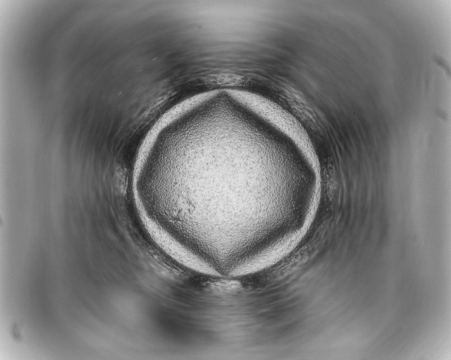 X0000096730374200802261459