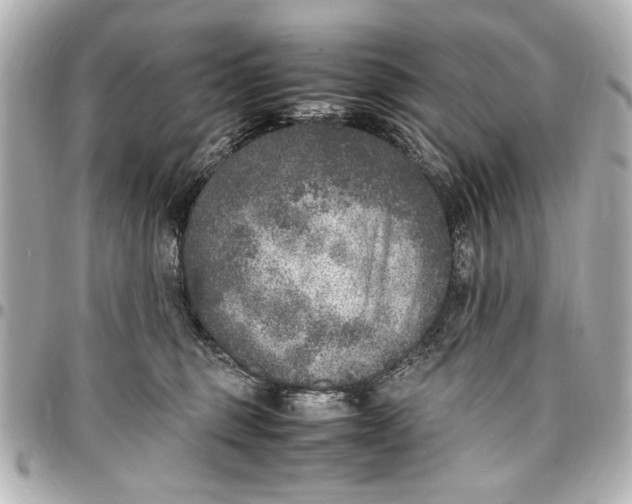 X0000096730375200802261459