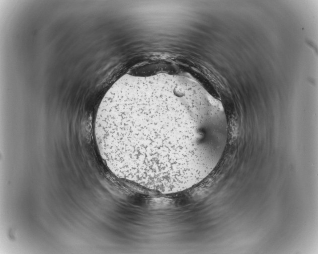 X0000096730376200802261459