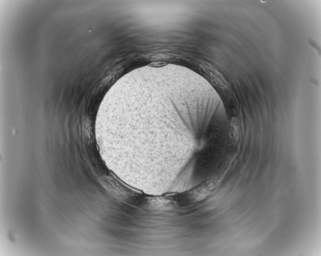 X0000096730380200802261459