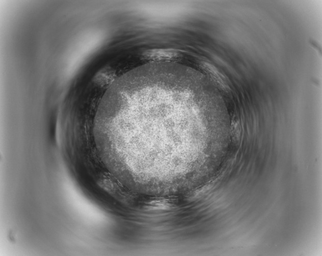 X0000096730381200802261459