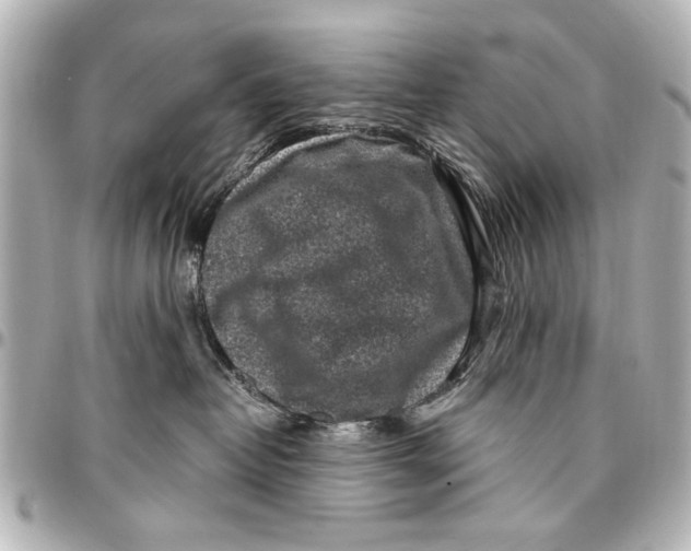 X0000096730382200802261459