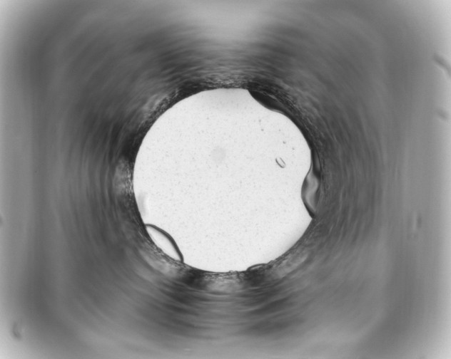 X0000096730384200802261459