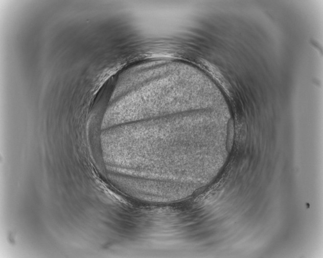 X0000096730385200802261458